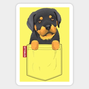 Cute Rottweiler Pocket Puppy Magnet